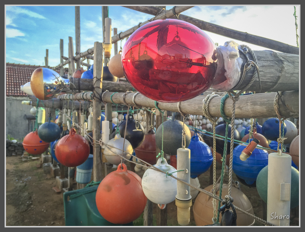 IMG_7673.jpg - 20160701 澎湖