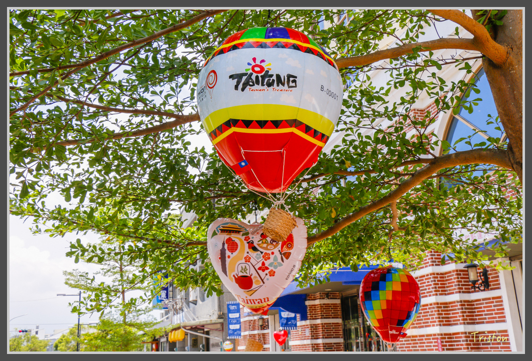 _MG_9548.jpg - 20160729 台東三仙台銀河鹿野熱氣球