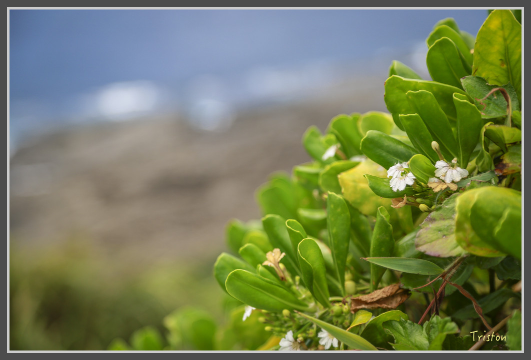 84 JH1A9808.jpg - 20160801 父子親子遊東北角