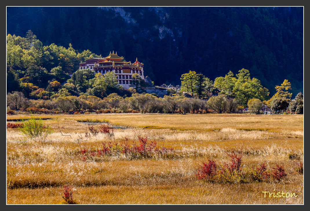 _MG_1949.jpg - 20161013 稻城亞丁