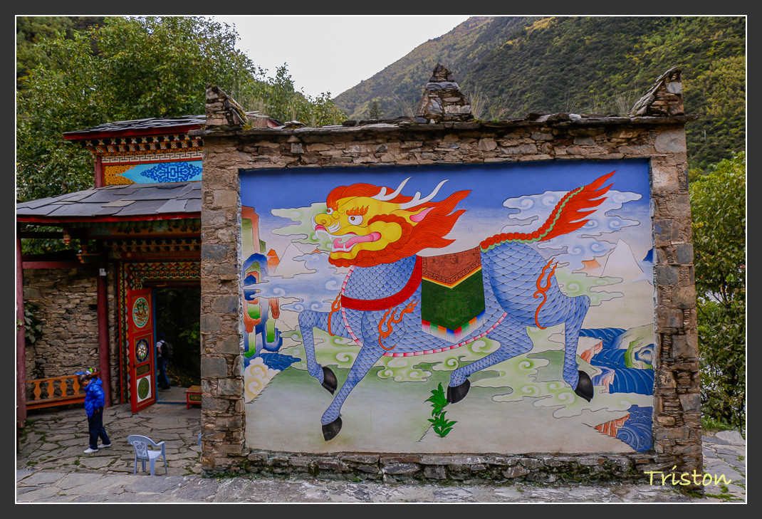 _MG_0368.jpg - 20161013 稻城亞丁