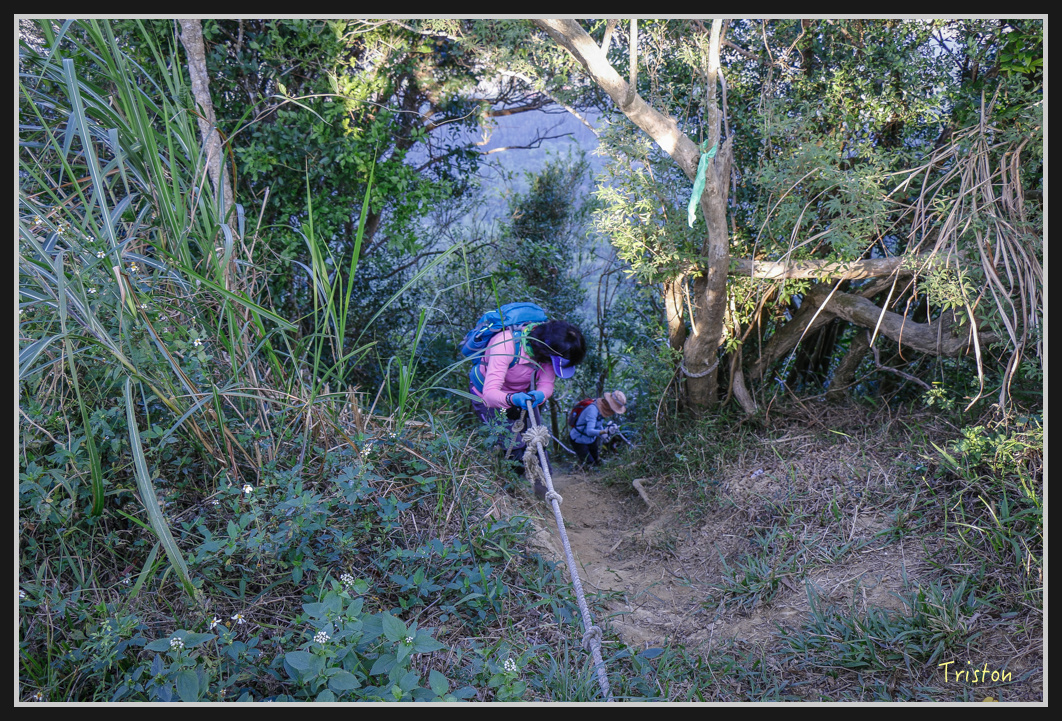 _MG_0480.jpg - 201161217 旗靈縱走