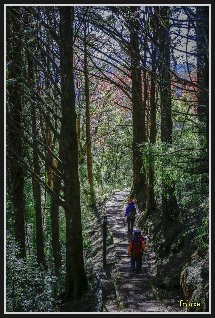 _MG_0168.jpg - 20161226 大塔山