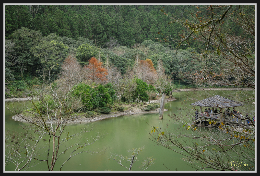 00156.jpg - 20161231 明池 神木園