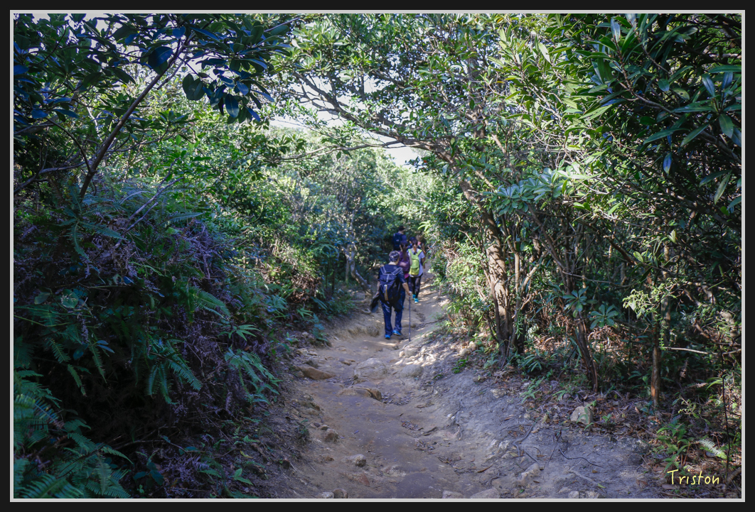 00167.jpg - 20170107 香港健行