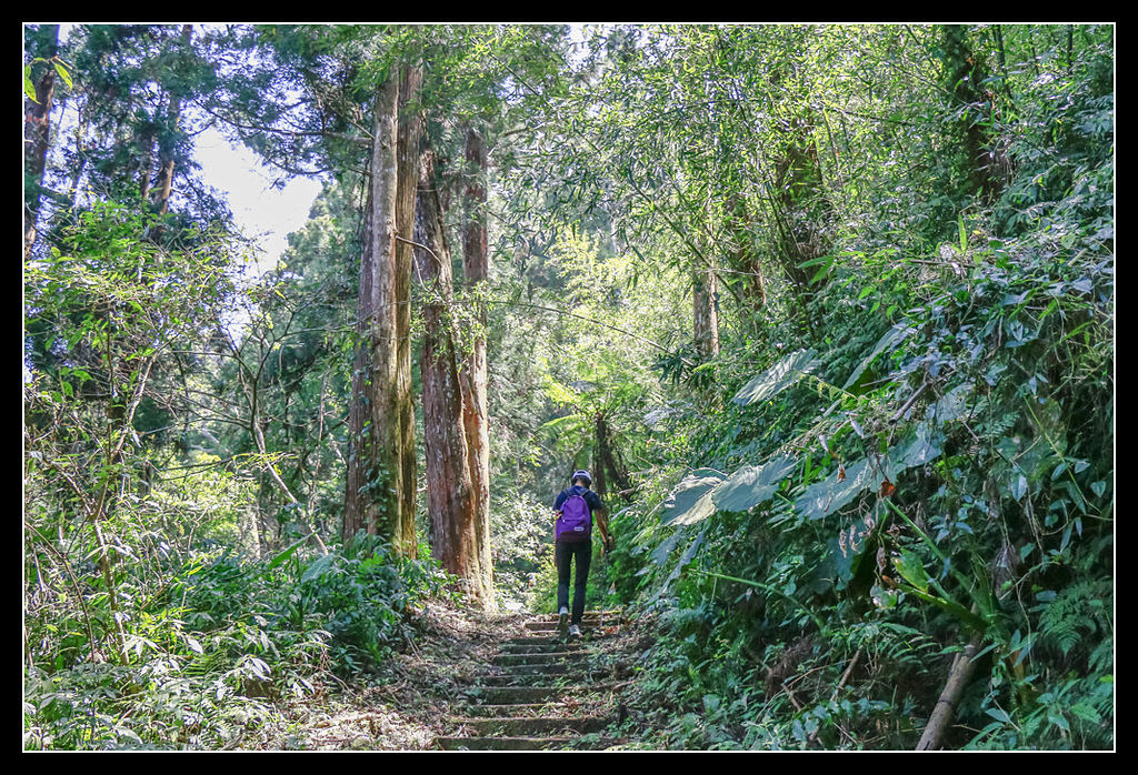 _MG_0089.jpg - 20170408 瑞太古道
