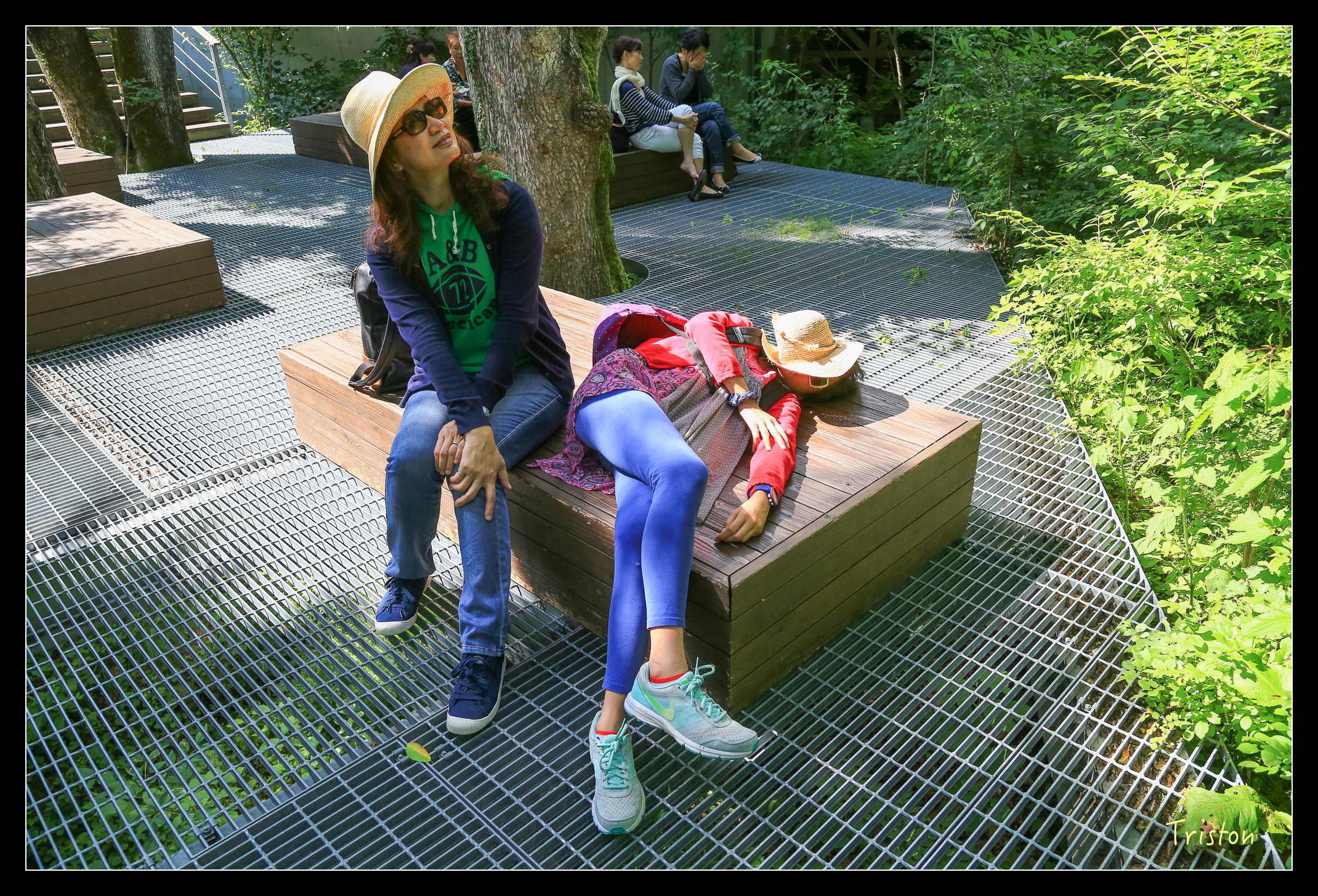 JH1A9129.jpg - 20150628 東京輕井澤日光