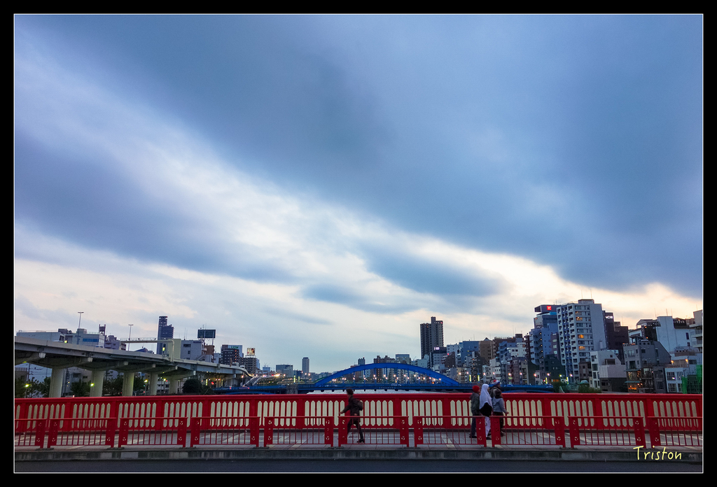 DSC00141.jpg - 20151031 秋天的童話-貴婦東京輕井澤紀行