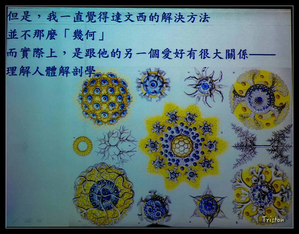 DSC00575.jpg - 20151120 美人建築課程-維特魯威人