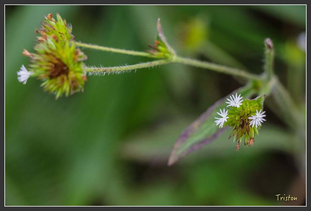 IMG_1443-2.jpg - 20160122 南仁湖、墾丁