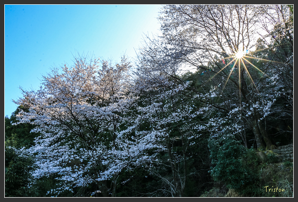 IMG_4990.jpg - 20160323 日本熊野古道健行