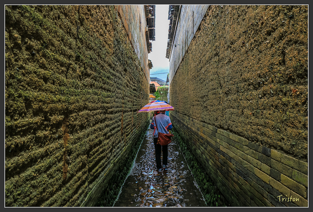 IMG_6706.jpg - 20160409 武夷山之旅