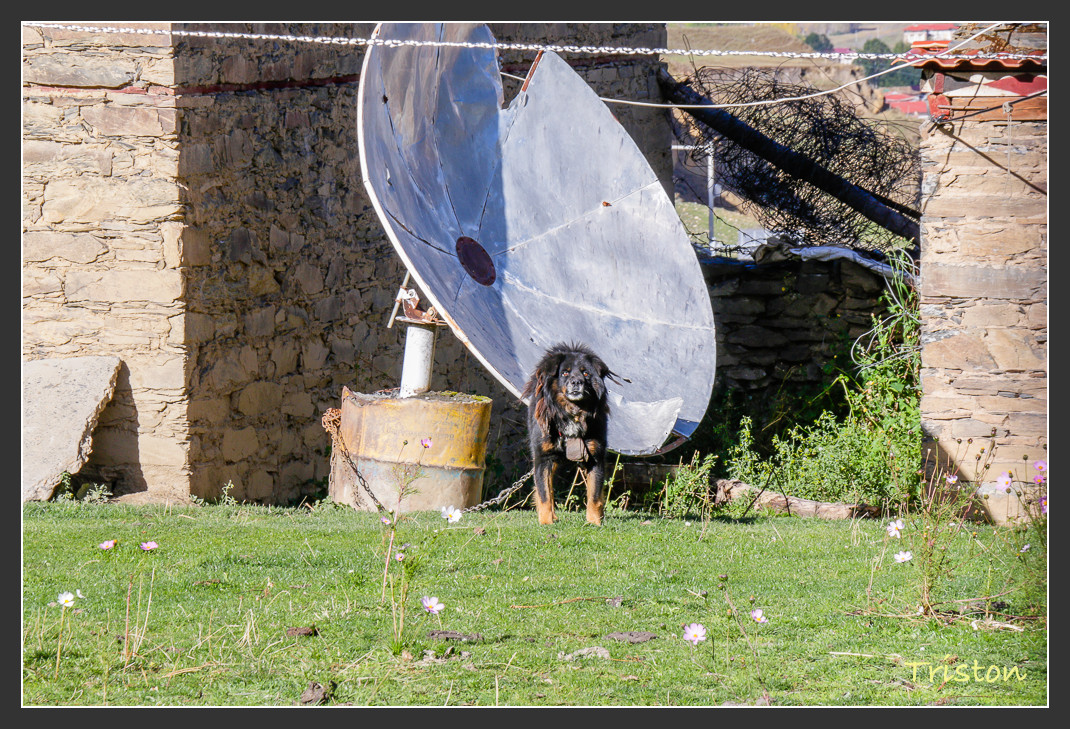 _MG_1332.jpg - 20161013 稻城亞丁