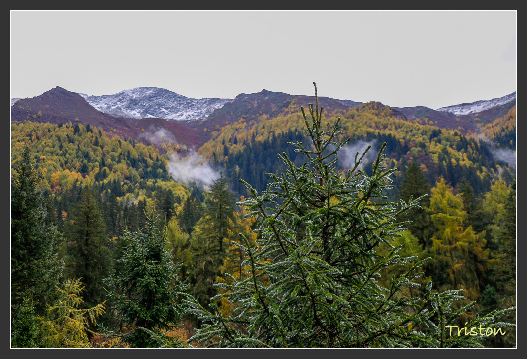 _MG_0947.jpg - 20161013 稻城亞丁