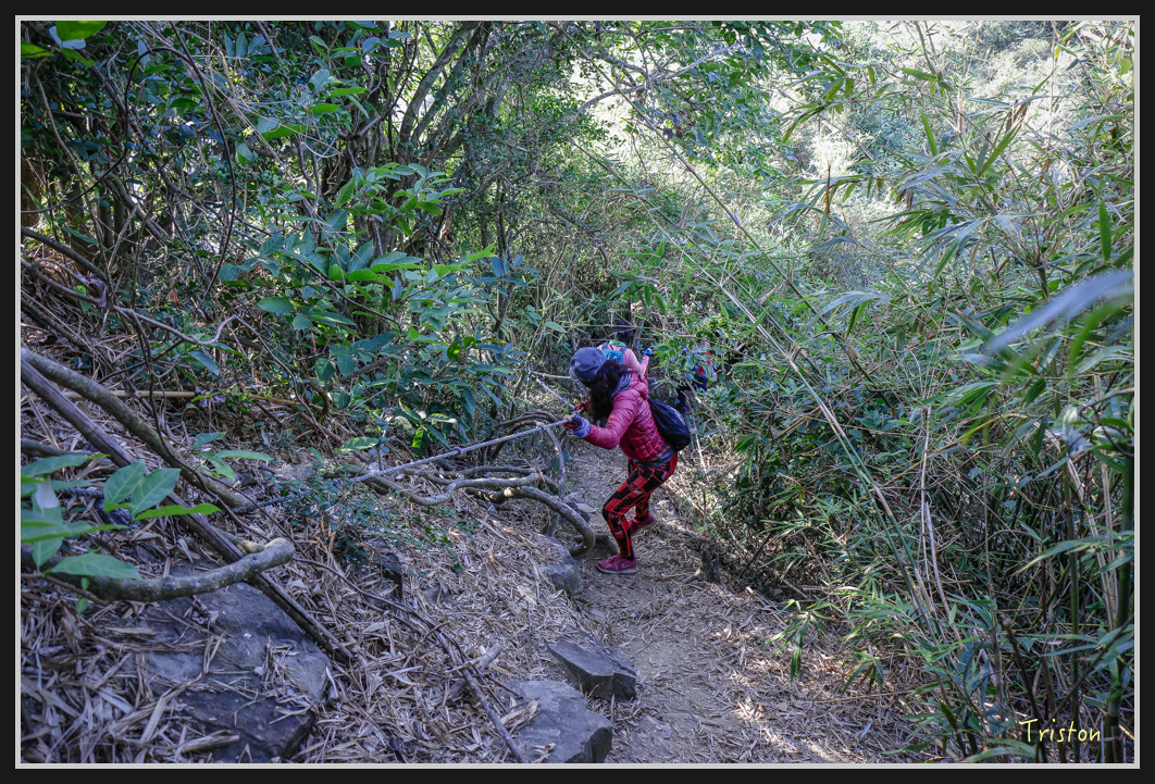 _MG_0488.jpg - 201161217 旗靈縱走