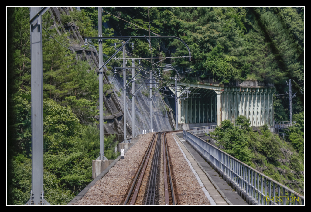 _MG_0489.jpg - 20170702 靜岡東海道之旅