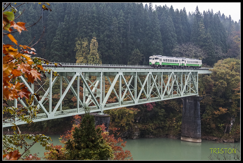 _H1A0310.jpg - 20171103 日本只見線、會津若松五色沼、昭和記念公園賞紅葉