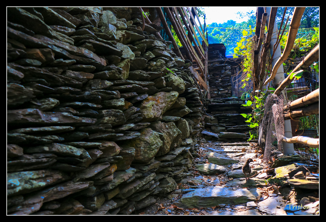 IMG_9563.jpg - 20151202 老七佳部落