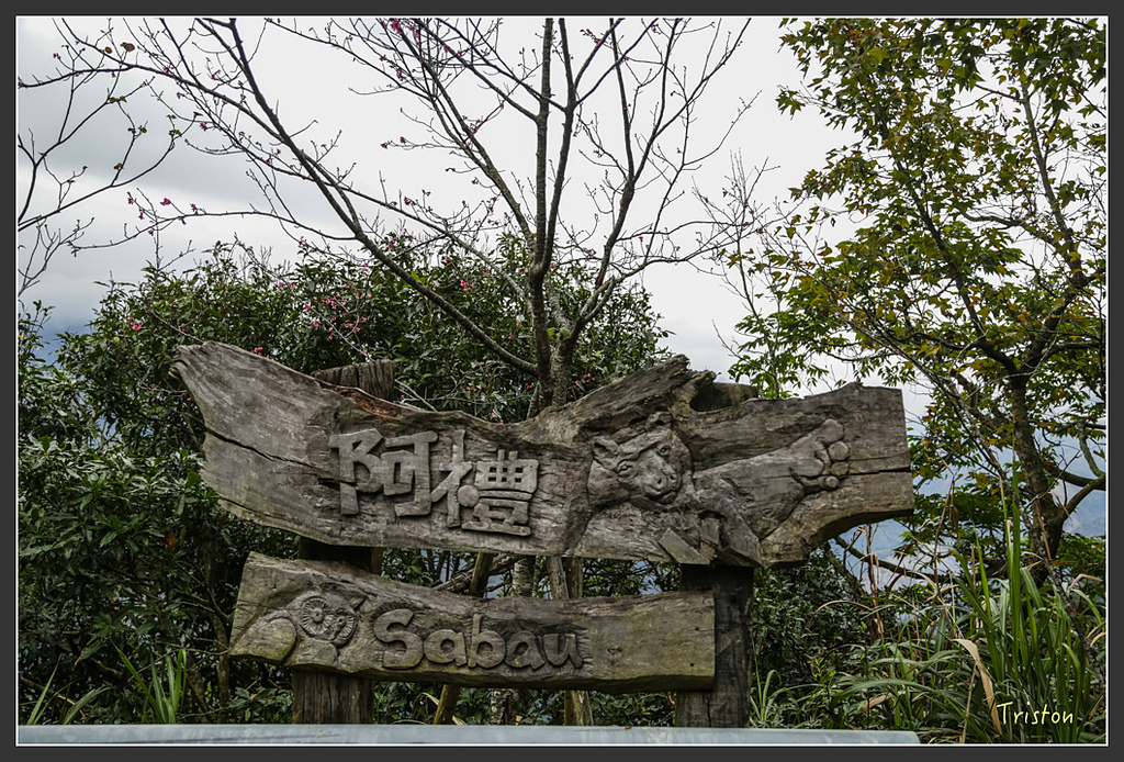 JH1A8237.jpg - 20160111 吉露、阿禮部落