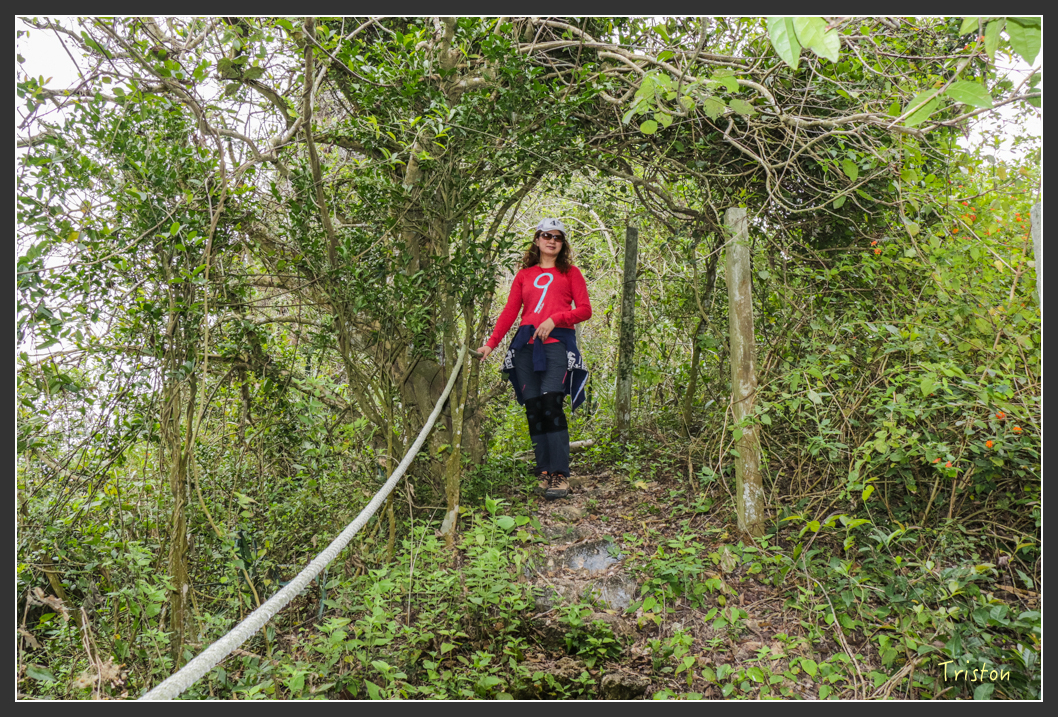 IMG_3203.jpg - 20160220 小崗山健行步道