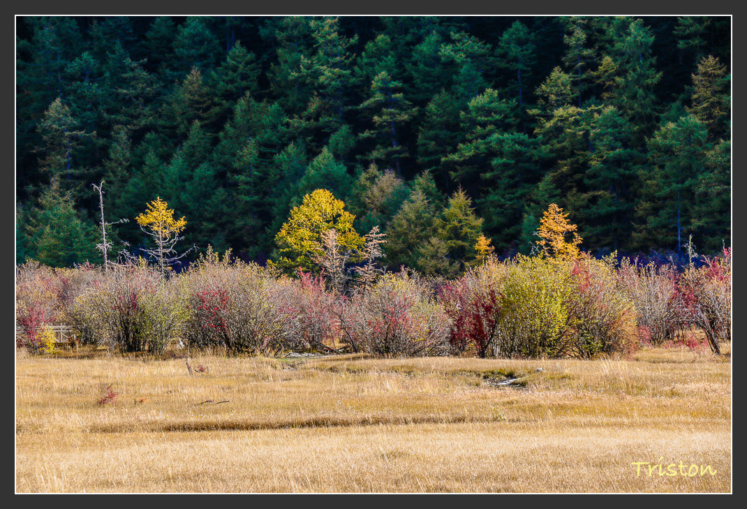 _MG_1942.jpg - 20161013 稻城亞丁