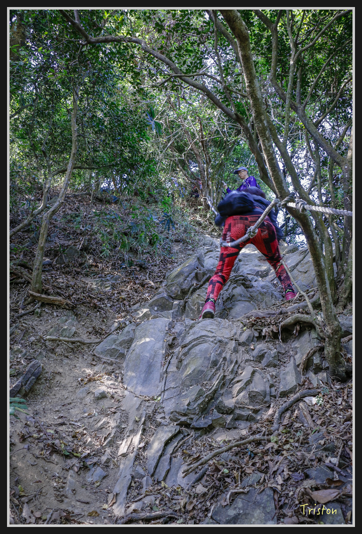 _MG_0569.jpg - 201161217 旗靈縱走