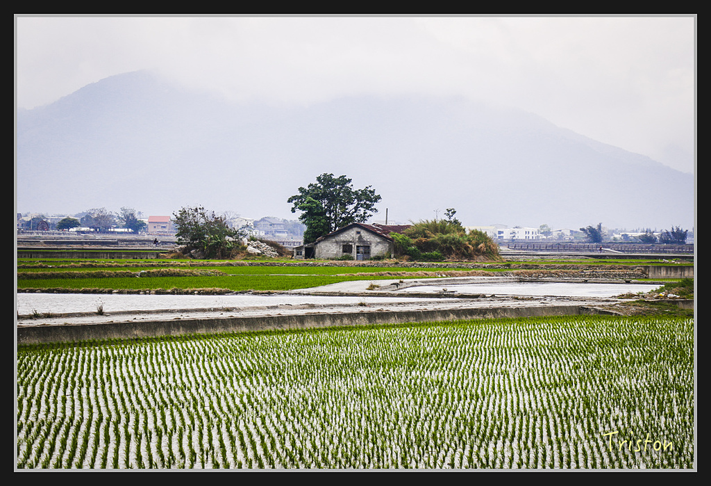 2017-02-27 10.03.54 下午 _MG_0663.jpg - 20170225 玉里瓦拉米