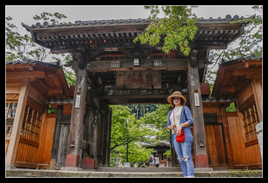 _MG_1132.jpg - 20170702 靜岡東海道之旅