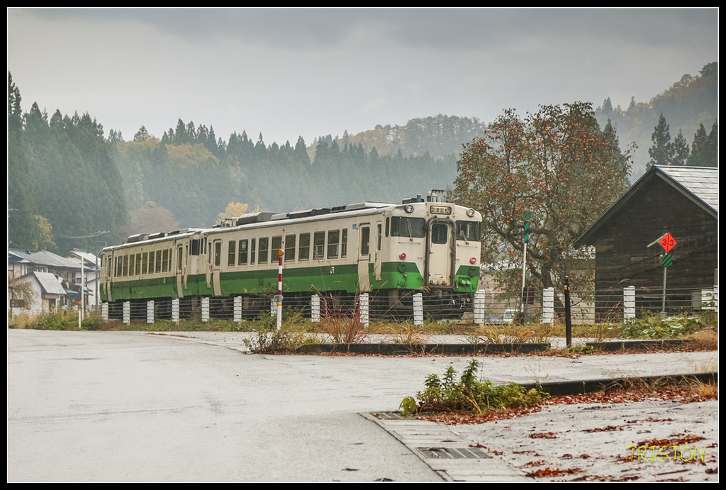 _H1A0341.jpg - 20171103 日本只見線、會津若松五色沼、昭和記念公園賞紅葉