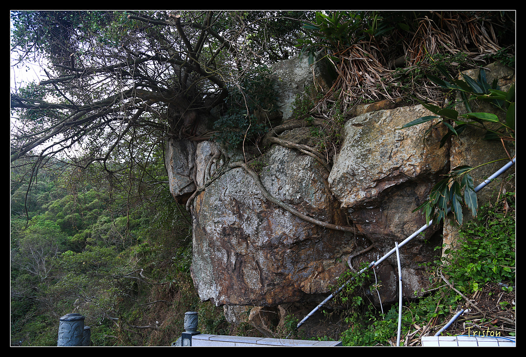 JH1A8967.jpg - 20150814 馬祖之旅