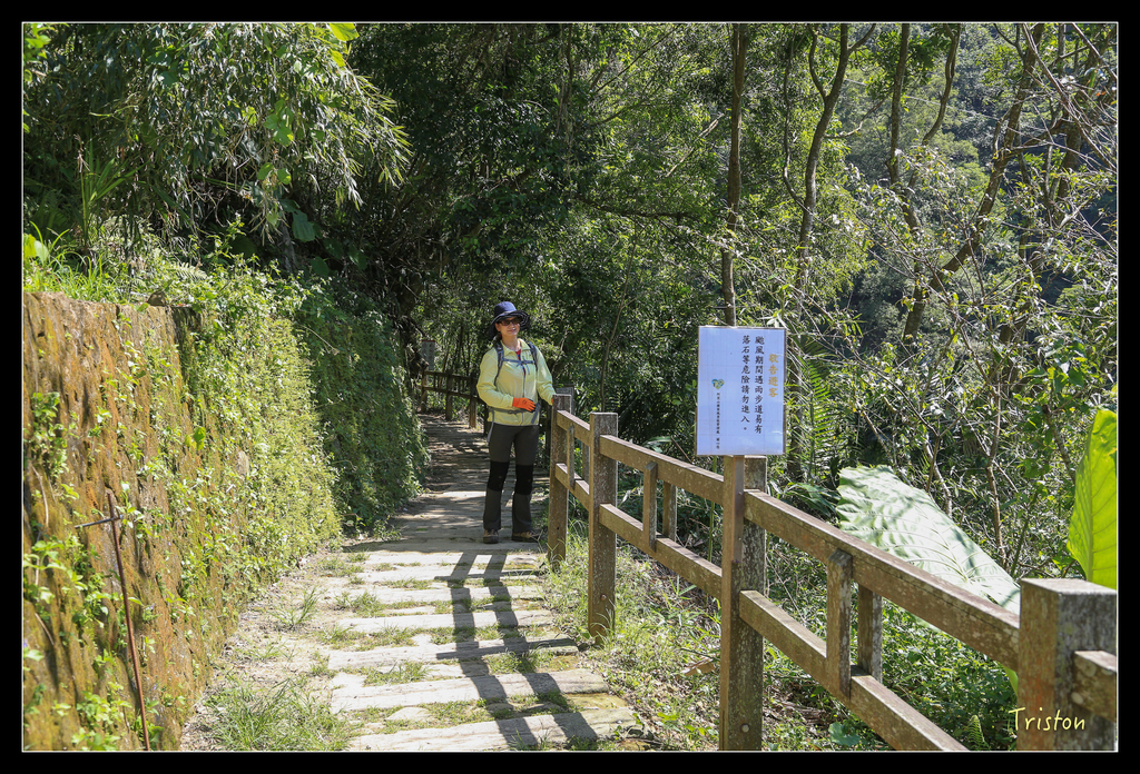 JH1A9828.jpg - 20151005 竹坑溪步道