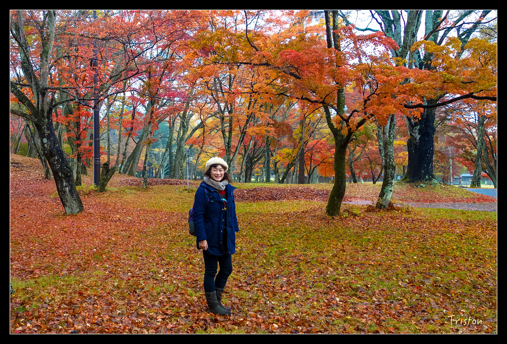 DSC00261.jpg - 20151031 秋天的童話-貴婦東京輕井澤紀行