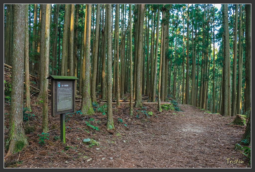 IMG_5363.jpg - 20160323 日本熊野古道健行