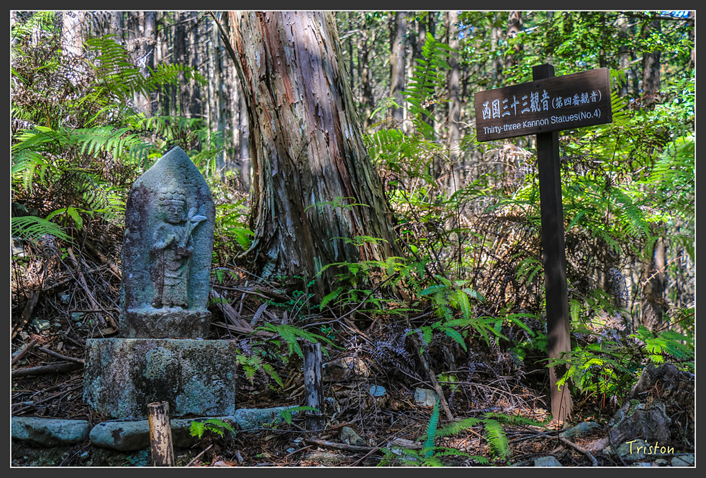 IMG_4811.jpg - 20160323 日本熊野古道健行