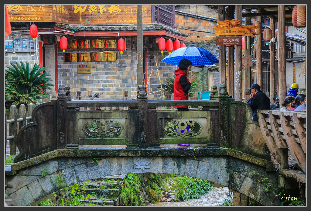 IMG_6561.jpg - 20160409 武夷山之旅