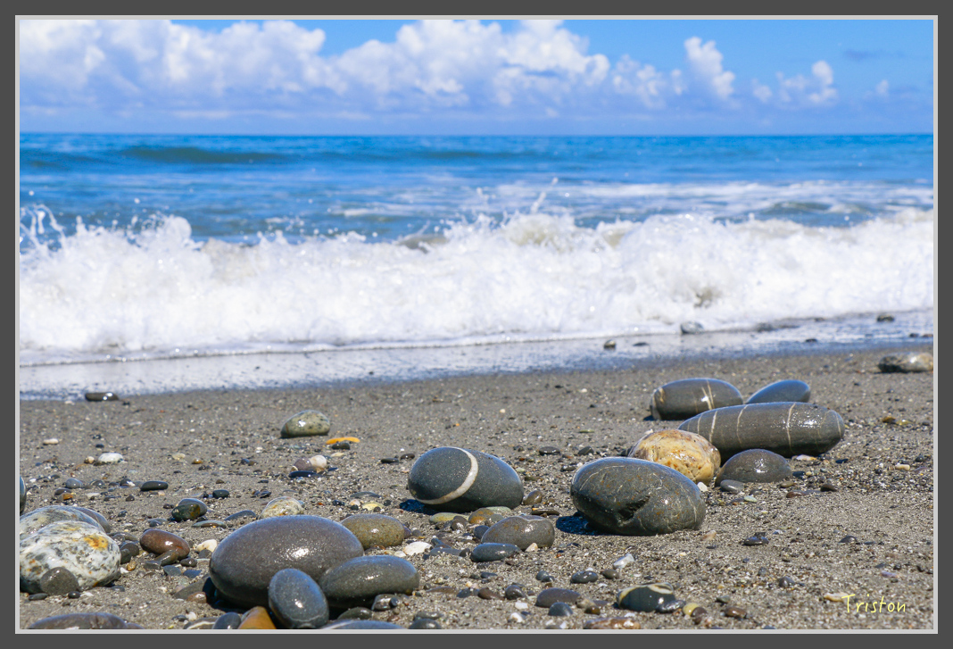_MG_8511.jpg - 20160618 阿朗壹古道