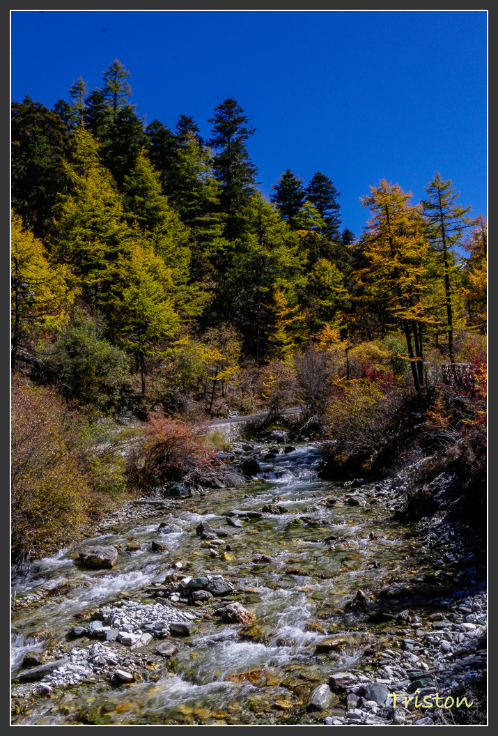 _MG_2278.jpg - 20161013 稻城亞丁