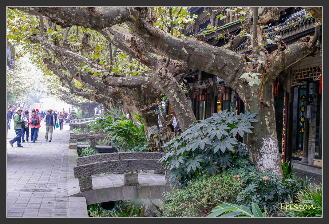 _MG_0031.jpg - 20161013 稻城亞丁