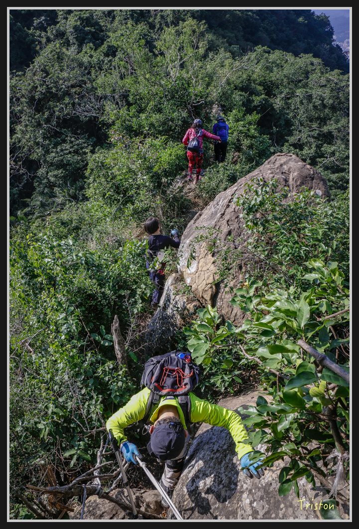 _MG_0545.jpg - 201161217 旗靈縱走