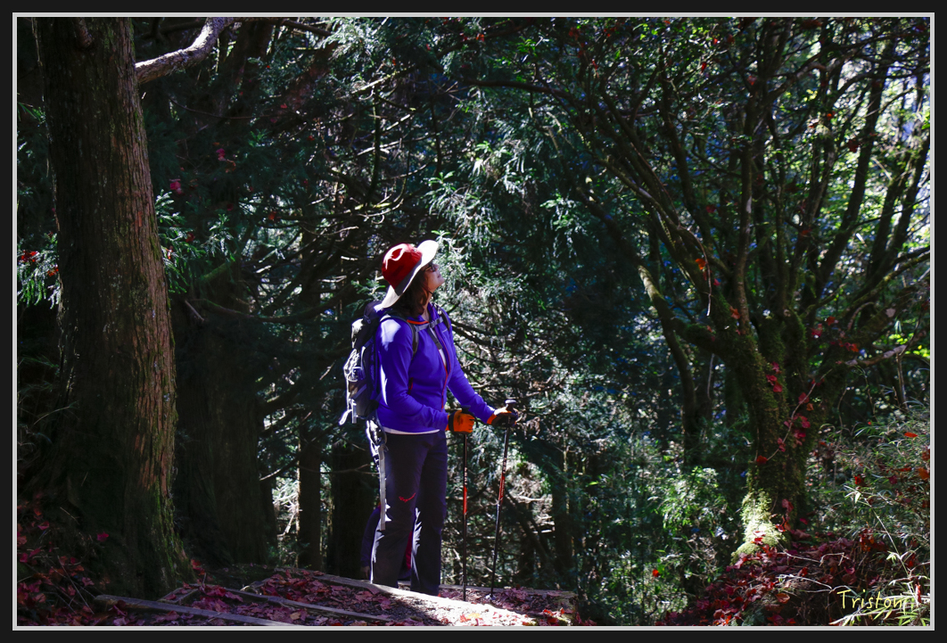 _MG_0044.jpg - 20161226 大塔山