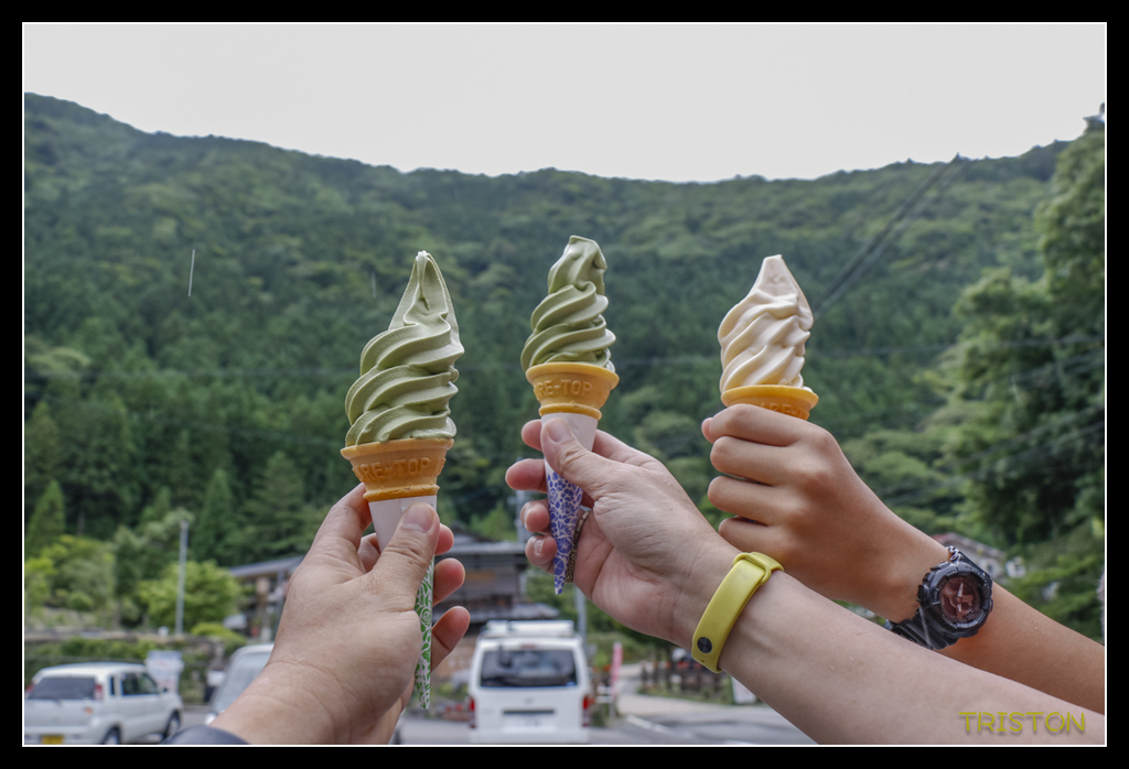 _MG_0896.jpg - 20170702 靜岡東海道之旅