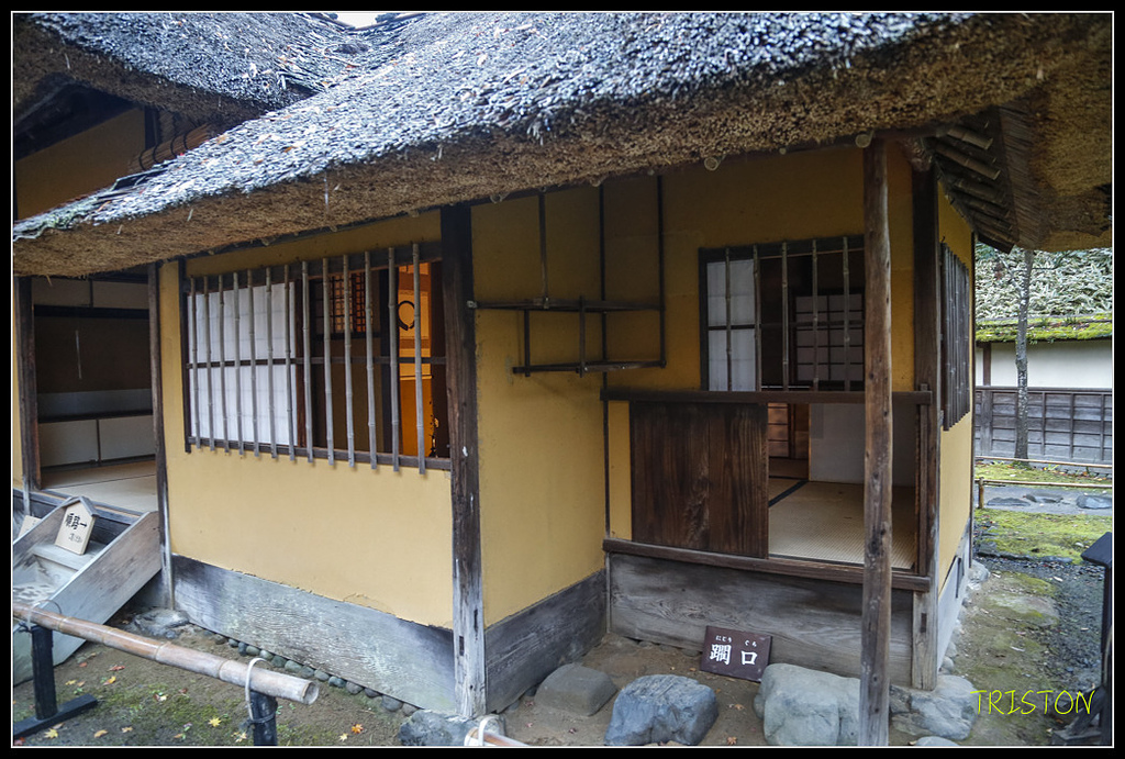 _H1A0957.jpg - 20171103 日本只見線、會津若松五色沼、昭和記念公園賞紅葉