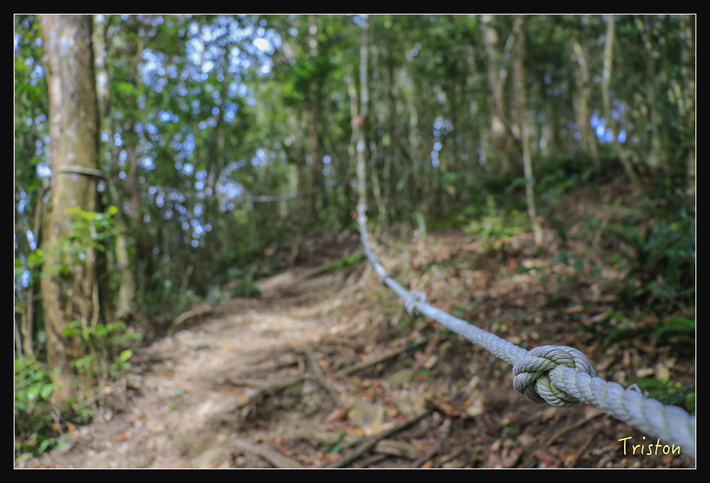 _MG_1065.jpg - 20180127 日湯真山