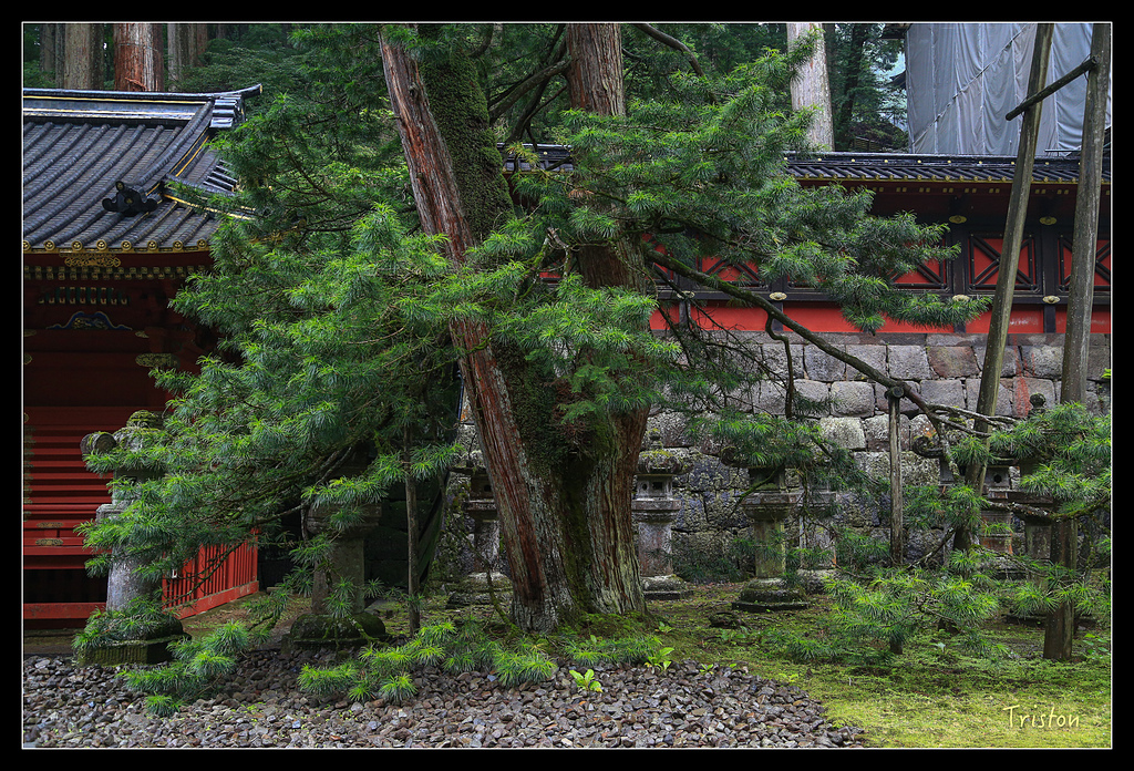 JH1A0003.jpg - 20150628 東京輕井澤日光