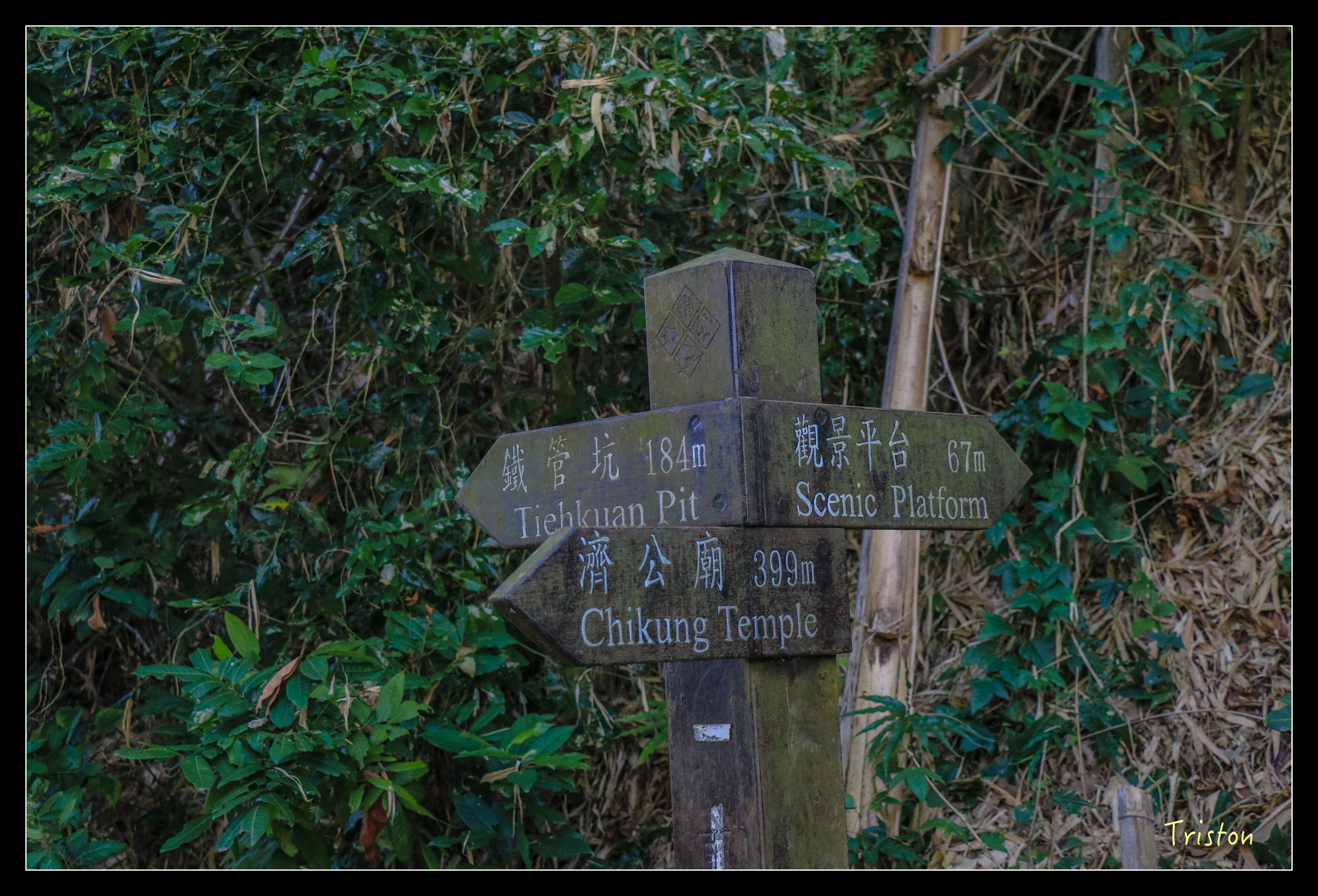 IMG_0333.jpg - 20151214 林內龍過脈步道