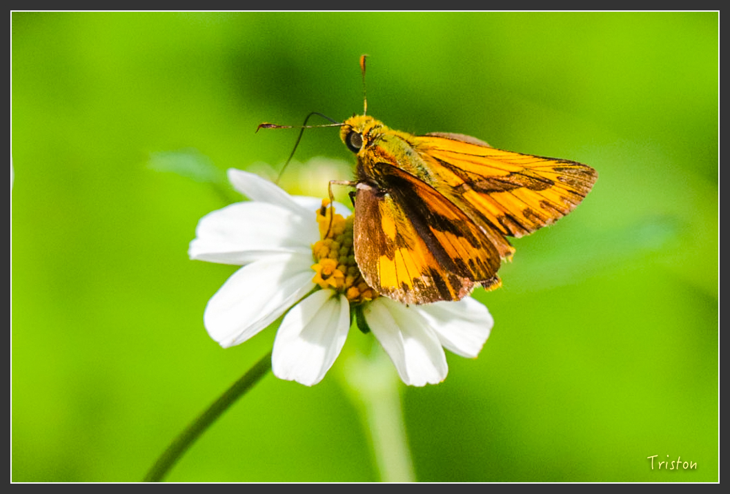 IMG_1572-2.jpg - 20160122 南仁湖、墾丁