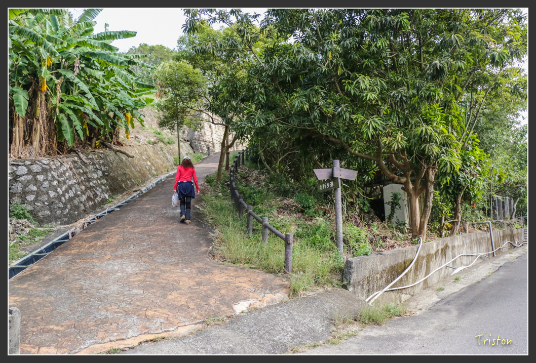 IMG_3228.jpg - 20160220 小崗山健行步道