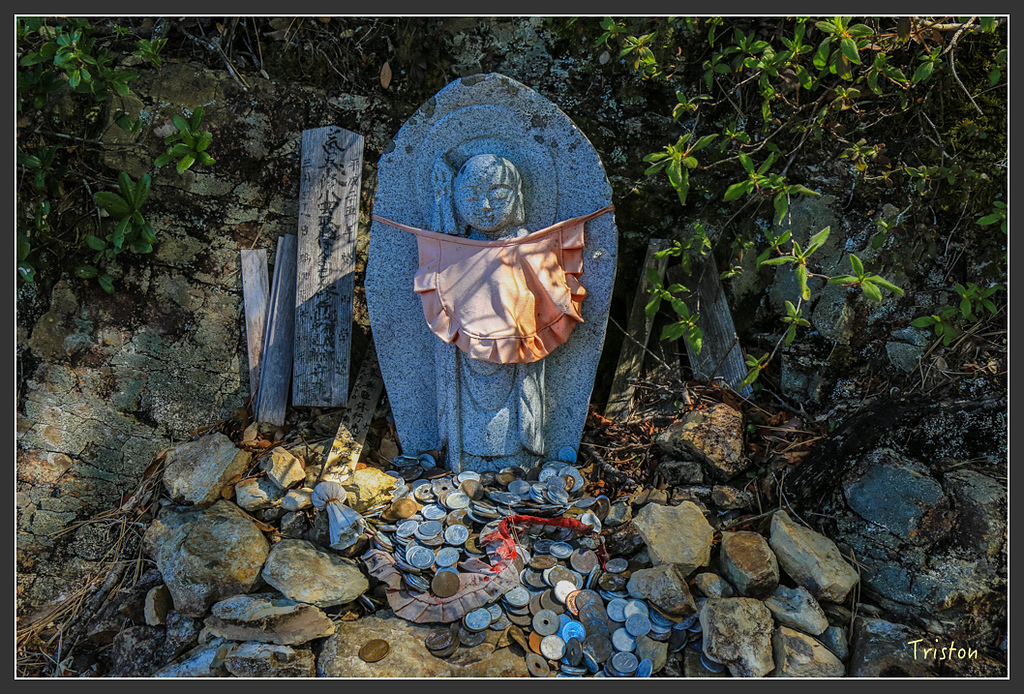 IMG_5097.jpg - 20160323 日本熊野古道健行