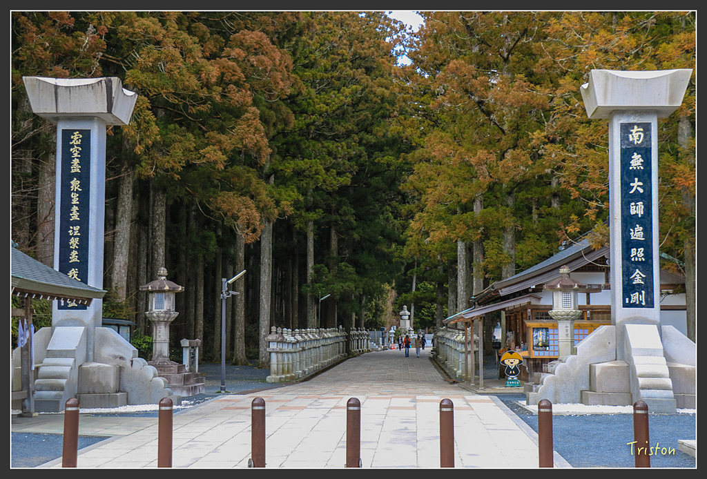 IMG_4582.jpg - 20160323 日本熊野古道健行