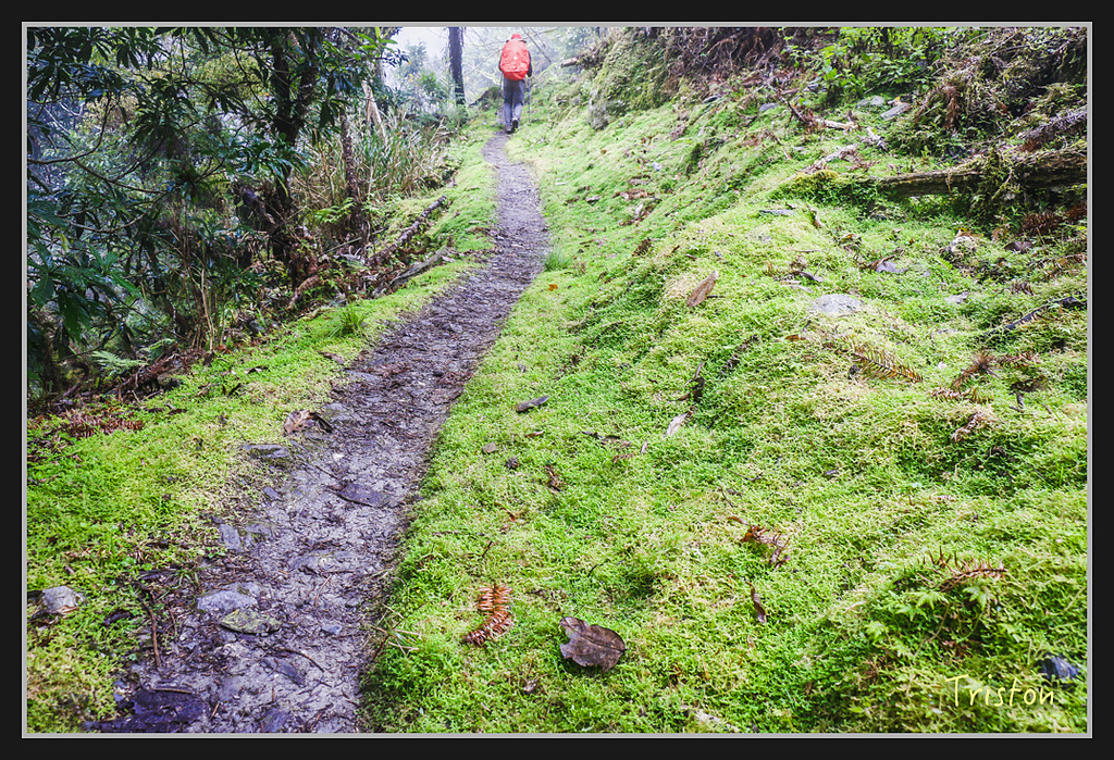 2017-02-27 10.03.53 下午 _MG_0454.jpg - 20170225 玉里瓦拉米